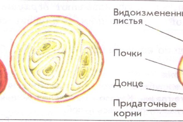 Кракен даркнет ссылка для тор